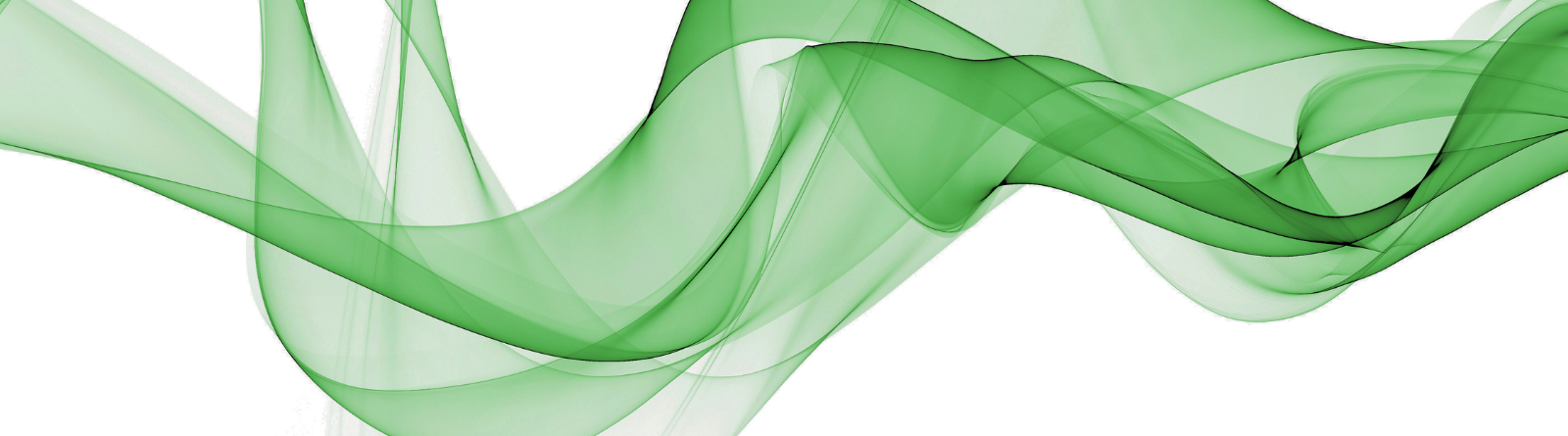 Header Image_Green ribbon