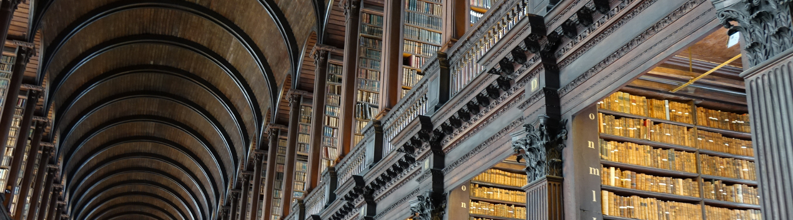 Header Image_Library 