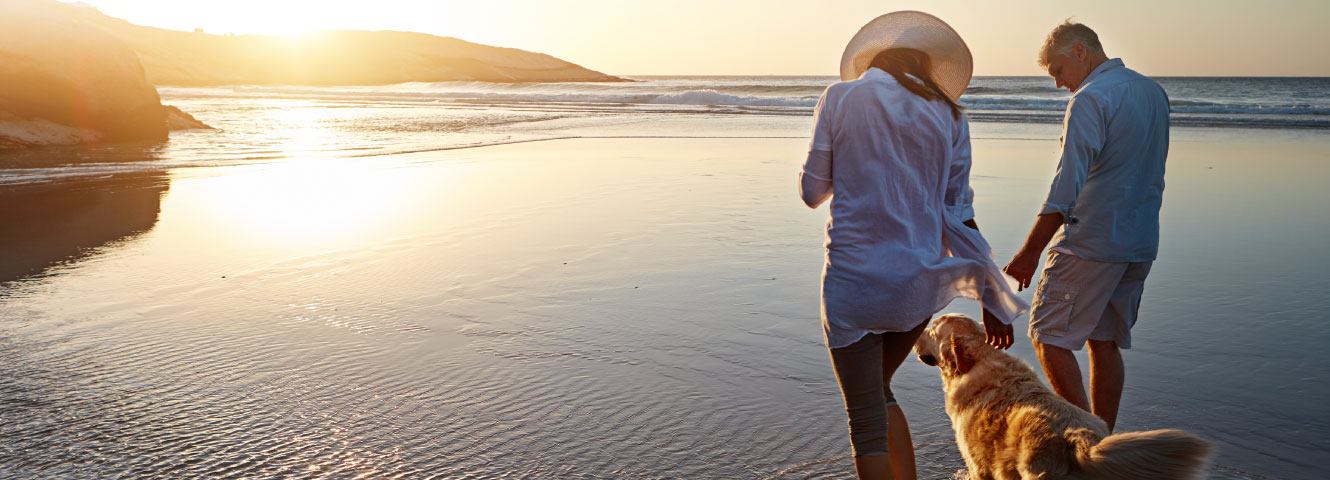a man and woman walking their golden retriever on the beach at sunset