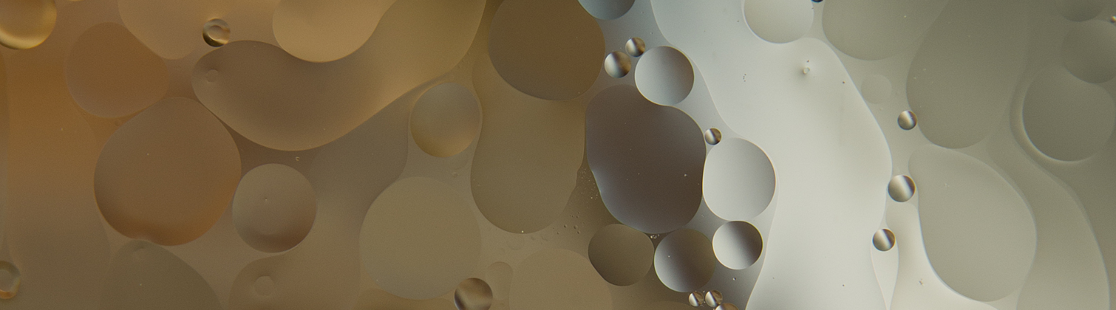 Header Image_Abstract_cream and gold circles