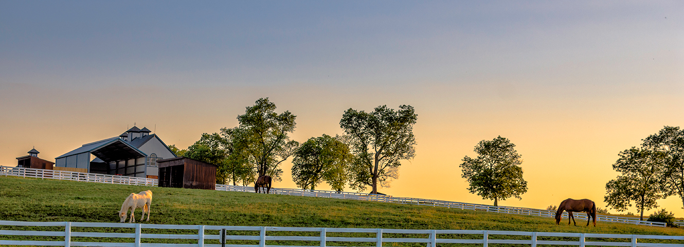 landscape image of horses grazing on a farm with a pretty sunset