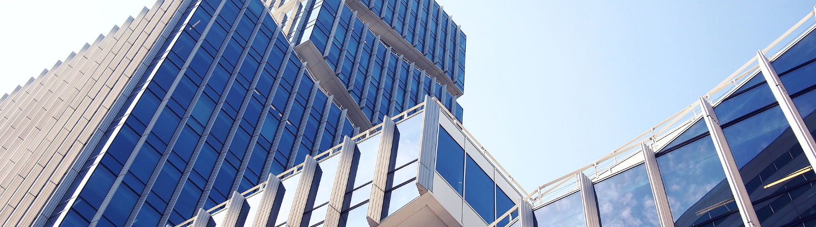 Header image_Large city buildings